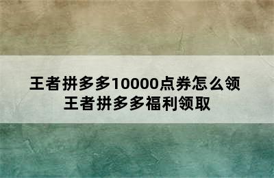 王者拼多多10000点券怎么领 王者拼多多福利领取